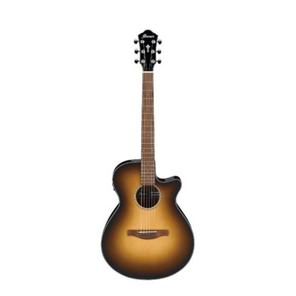 Ibanez AEG50 Acoustic-Electric Guitar
