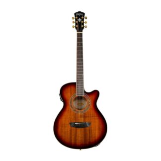Washburn EA55G Acoustic-Electric Guitar