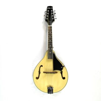 Asheville AM1N A-Style Mandolin Used