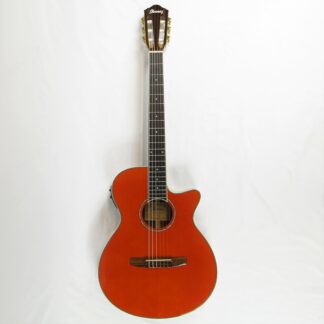 Used Ibanez AEG10NII Classical-Electric Guitar