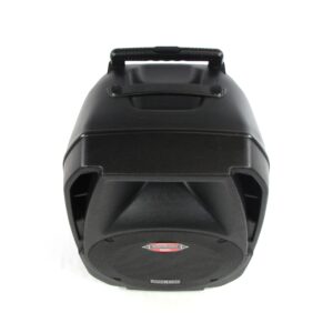 Edison M2000 Plus Powered PA Speaker Used