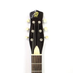 Danelectro 59 Triple Divine Used