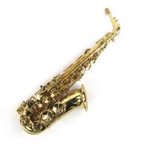 Accent AS710L Alto Saxophone Used