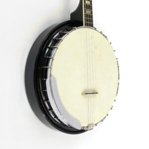 Harmony Roy Smeck Tenor Banjo - 1960s Vintage