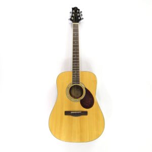 Greg Bennett D-5 Acoustic Guitar Used