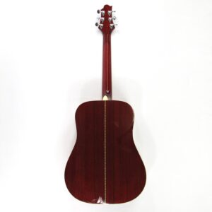 Greg Bennett D-5 Acoustic Guitar Used