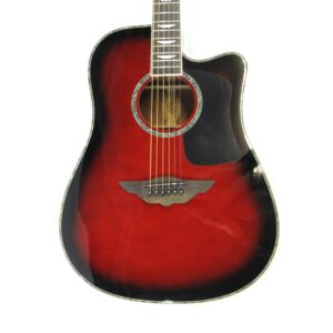 Urban Player Acoustic-Electric Guitar Used