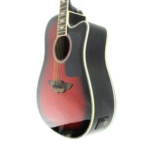 Urban Player Acoustic-Electric Guitar Used