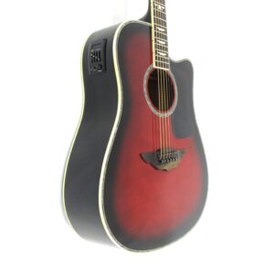 Urban Player Acoustic-Electric Guitar Used