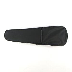 unbranded 4/4 violin