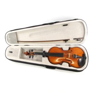 unbranded 4/4 violin