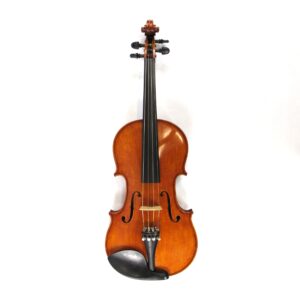unbranded 4/4 violin