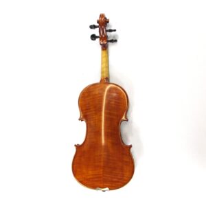 unbranded 4/4 violin