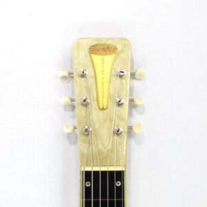 vintage english electronics tonemaster lap steel and amplifier 1950s