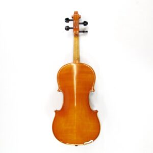 eastman signature series 4/4 violin