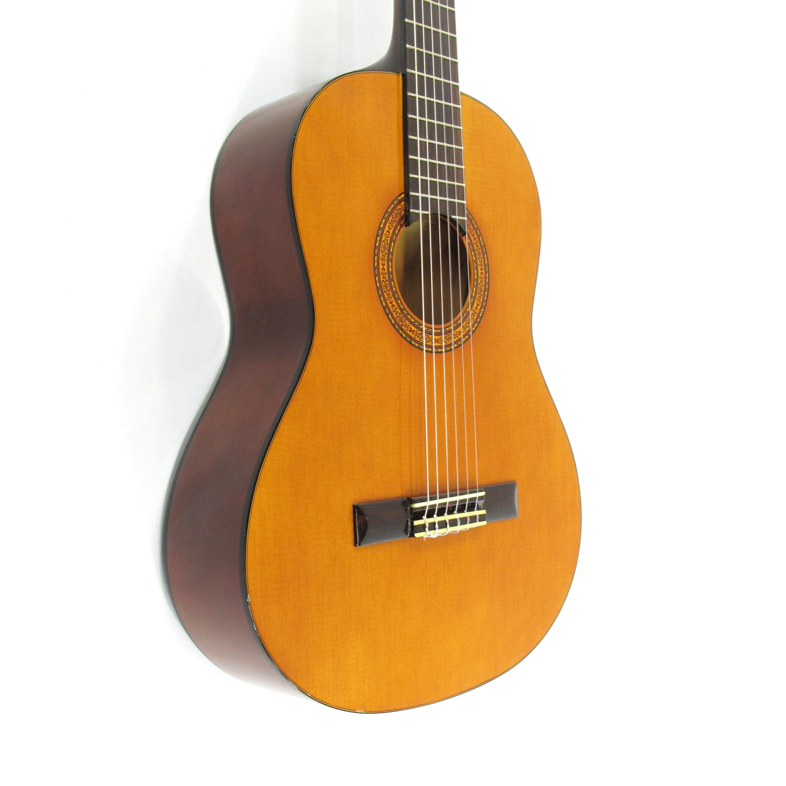 oscar schmidt oc9 classical
