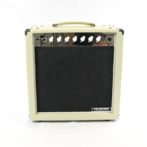 stage right combo amplifier
