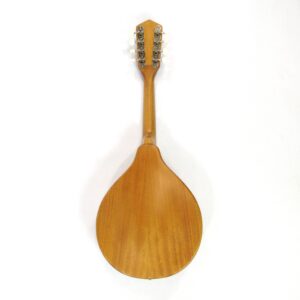 gretsch g9310 new yorker mandolin