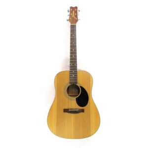 jasmine s35 acoustic guitar