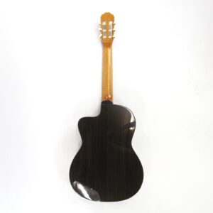 takamine eg128sc classical electric