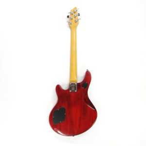 washburn bt 2 maverick