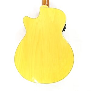 luna flora rose acoustic electric