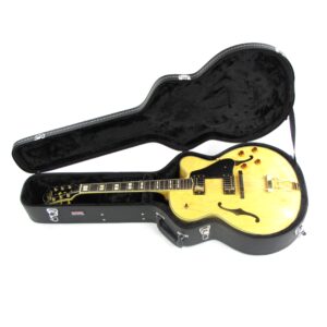 oscar schmidt oe40 hollowbody