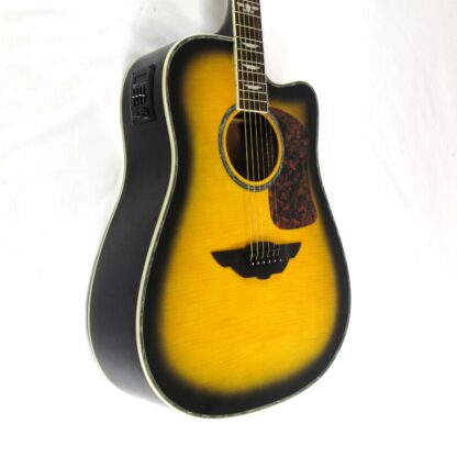 Urban Player Acoustic-Electric Guitar Used