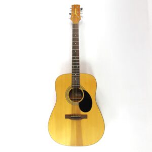 jasmine s35 acoustic guitar