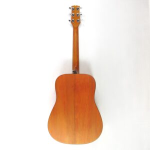 jasmine s35 acoustic guitar