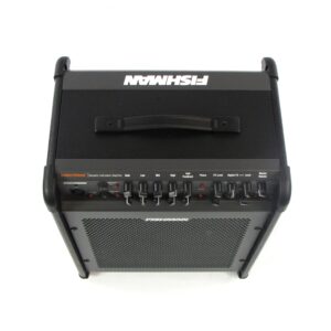 fishman loudbox performer