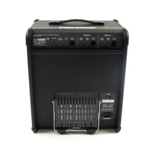 fishman loudbox performer