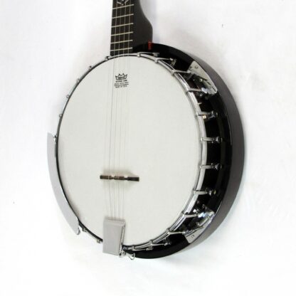 Franciscan 220M 5-String Banjo Used