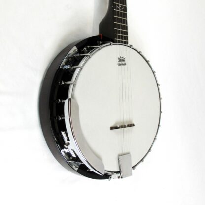 Franciscan 220M 5-String Banjo Used