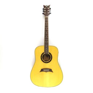 dbz vrndm acoustic guitar