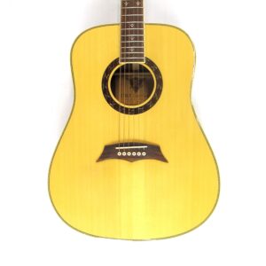 dbz vrndm acoustic guitar