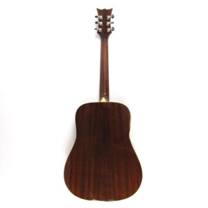dbz vrndm acoustic guitar