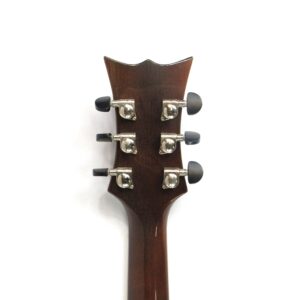 dbz vrndm acoustic guitar
