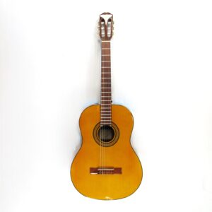 epiphone pro 1 classic nylon