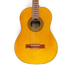 epiphone pro 1 classic nylon