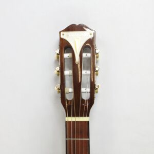 epiphone pro 1 classic nylon