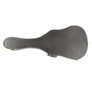 vintage ibanez nw40 acoustic 1982