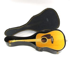 vintage ibanez nw40 acoustic 1982