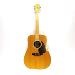 vintage ibanez nw40 acoustic 1982