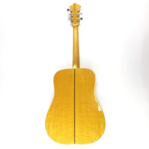vintage ibanez nw40 acoustic 1982