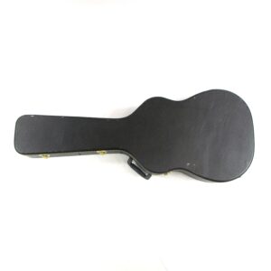 unbranded classical guitar case