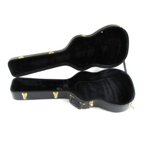 unbranded classical guitar case