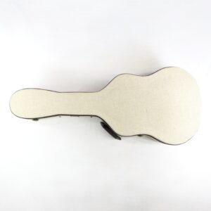 ortega rrg40ce electric resonator