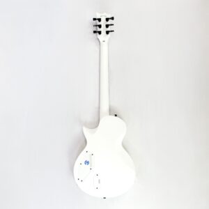 LTD EC Arctic Metal Used