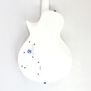 LTD EC Arctic Metal Used